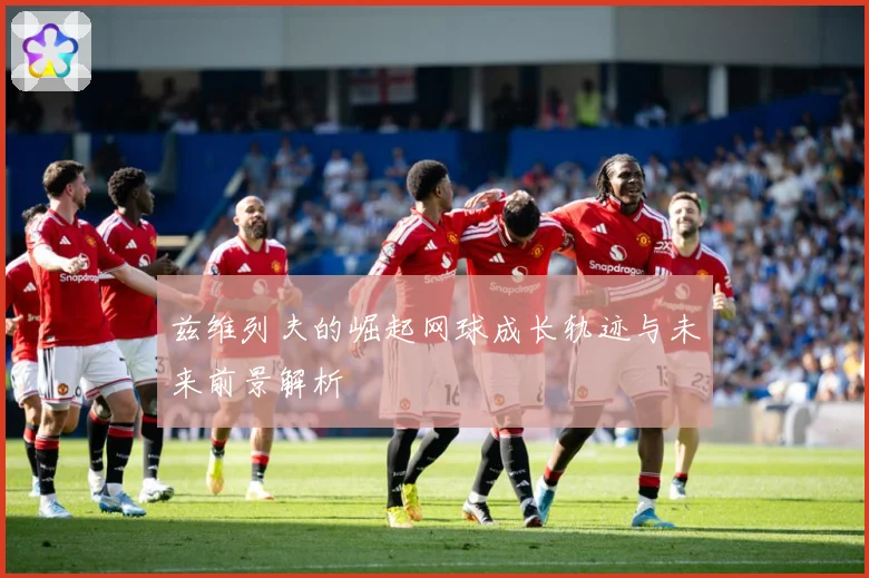 兹维列夫的崛起网球成长轨迹与未来前景解析